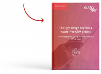 White paper Design Brief CRM